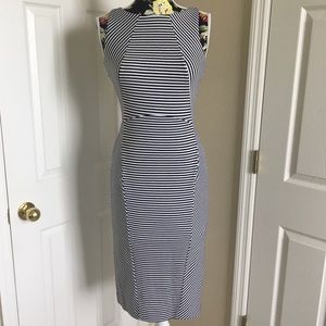 Banana Republic Ponte Stripe Black white dress NWT